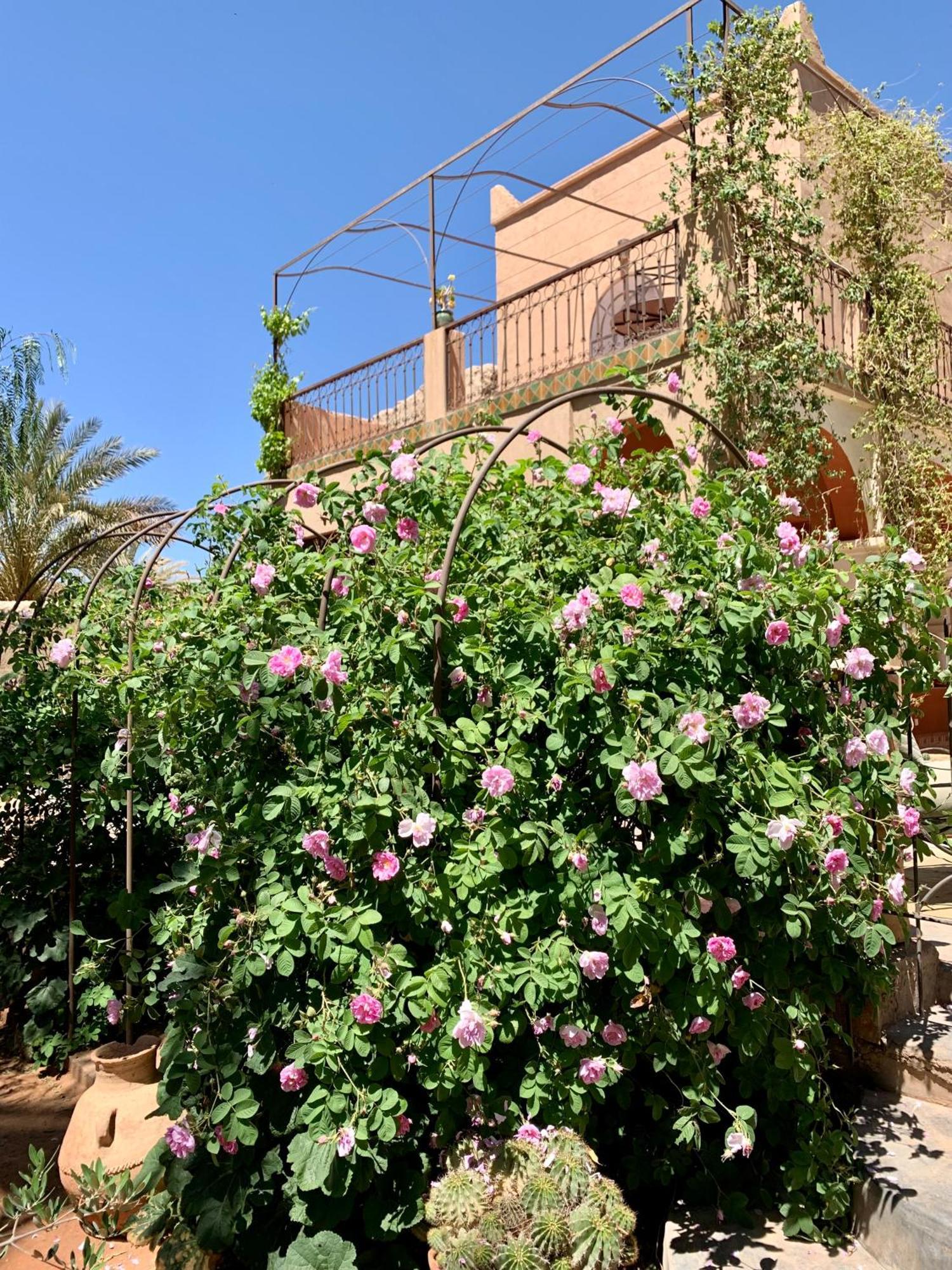 Riad Chant D'Etoiles Tadighoust El Hara Luaran gambar